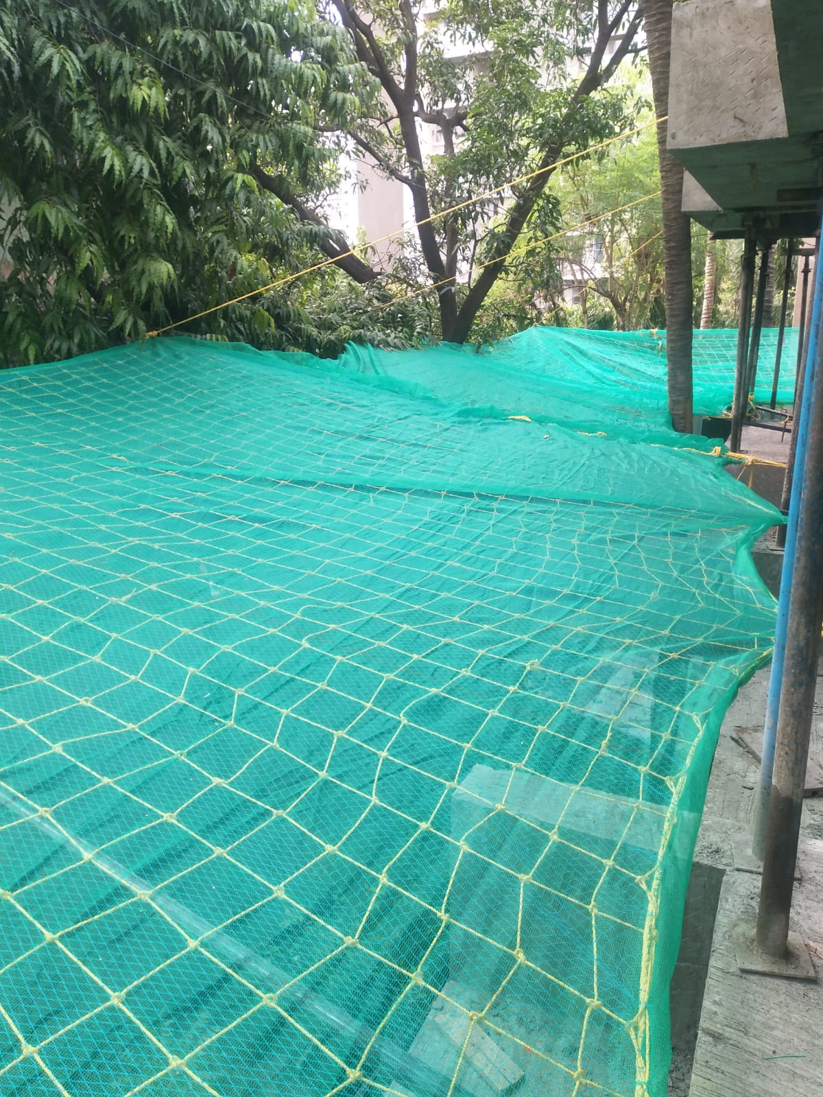 Green shed net stretched over an outdoor area for shade